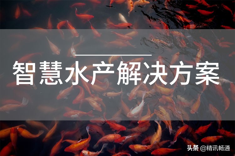 智慧水產(chǎn)解決方案